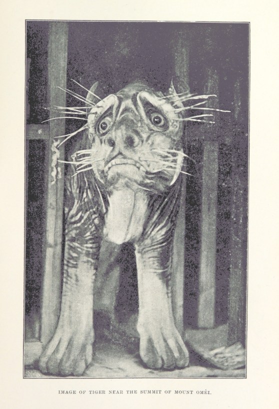 11216689325_d3207ee5e0_o