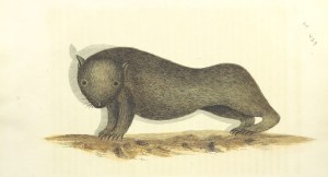 10999615235_eb0cb2a00a_o