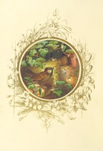 Isn't this beautiful!