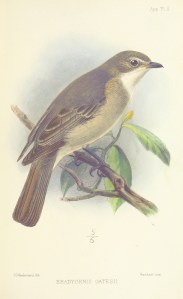 11201222715_f925628782_o