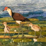 Jacana and chicks