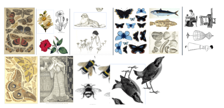 Screen Shot 2020-03-09 at 1.37.44 pm