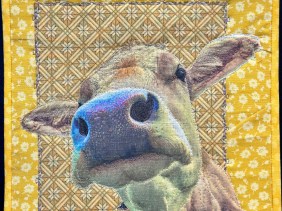 Printing fabric on a domestic printer using hair conditioner