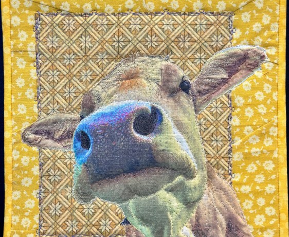 Printing fabric on a domestic printer using hair conditioner